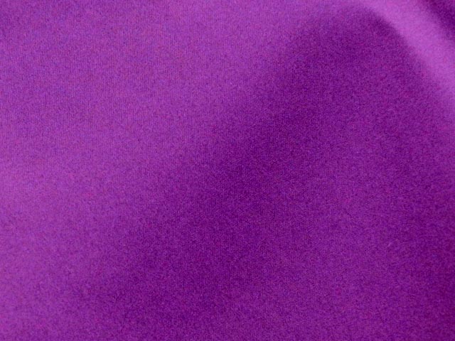 REGGIANI C/Visストレッチタイプライター（パープル）