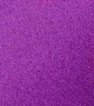 REGGIANI C/Visストレッチタイプライター（パープル）表面感><br clear=