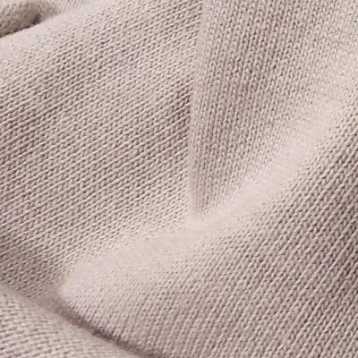 ヘヴィ天竺（エクリュ）表面感><br clear=