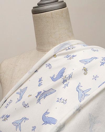 Y6-201ON遠景（ボディ掛け）